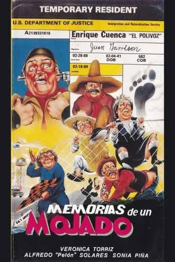 Memorias de un mojado poster - Find streaming availability