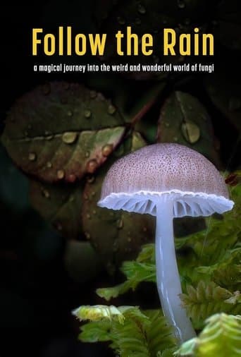 Follow the Rain poster - Find streaming availability