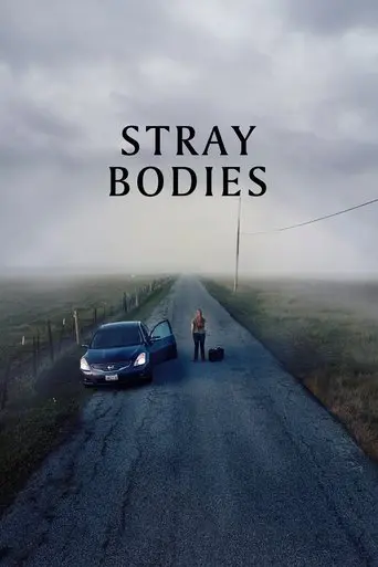 Stray Bodies poster - Find streaming availability