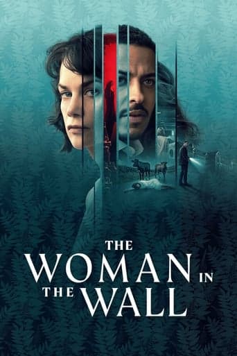 The Woman in the Wall poster - Find streaming availability