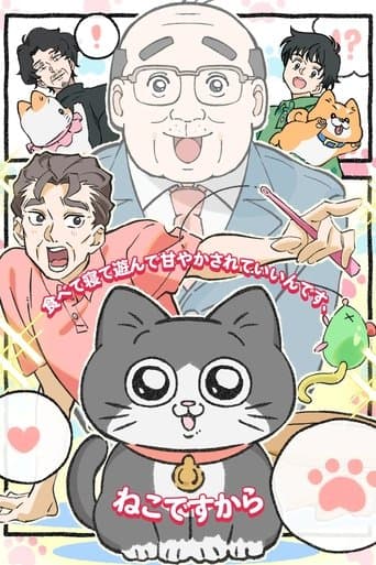 Cat Uncle: The Guy That Got Reincarnated As a Cat poster - Find streaming availability