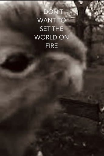 I Don't Want To Set The World On Fire poster - Find streaming availability