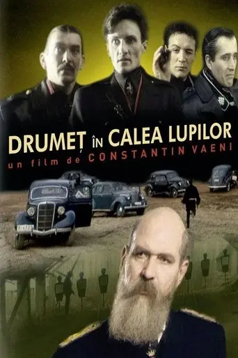 Drumeț în calea lupilor poster - Find streaming availability