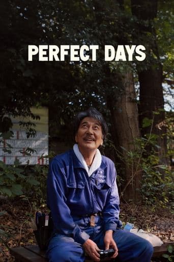 Perfect Days poster - Find streaming availability