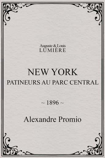 New York, patineurs au Parc central poster - Find streaming availability
