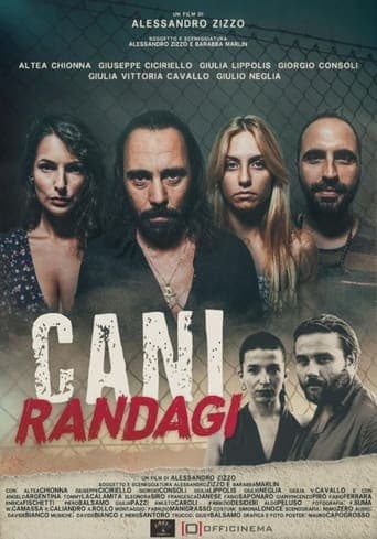 Cani randagi poster - Find streaming availability