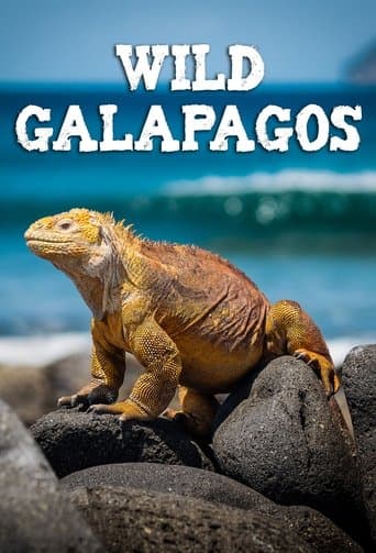 Wild Galápagos poster - Find streaming availability