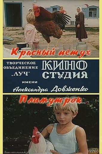 Red Rooster Plymouth Rock poster - Find streaming availability