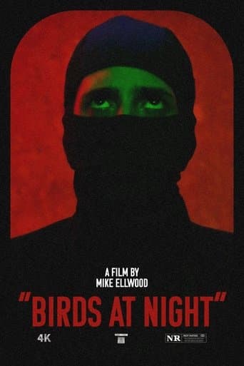 Birds at Night poster - Find streaming availability