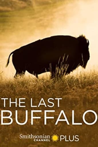 The Last Buffalo poster - Find streaming availability