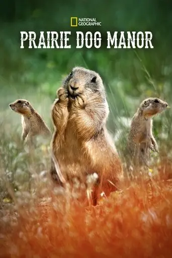 Prairie Dog Manor poster - Find streaming availability
