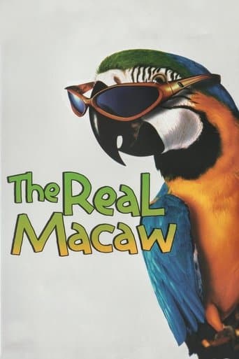 The Real Macaw poster - Find streaming availability