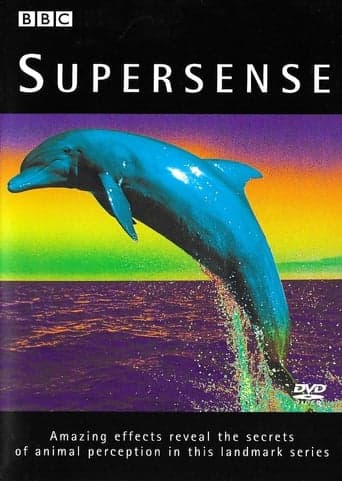 Supersense poster - Find streaming availability