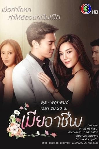Perfect Wife poster - Find streaming availability