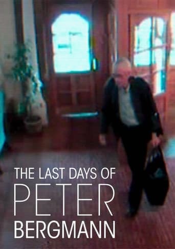 The Last Days of Peter Bergmann poster - Find streaming availability