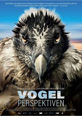 Bird's Eyeview poster - Find streaming availability