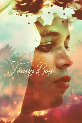 Funny Boy poster - Find streaming availability