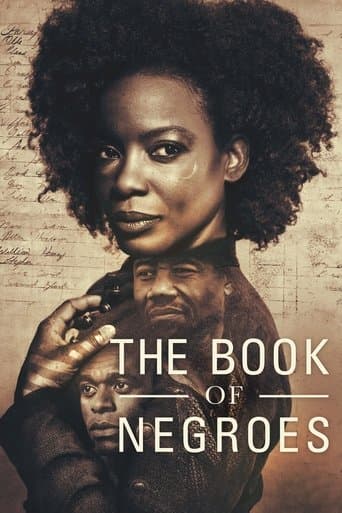 The Book of Negroes poster - Find streaming availability