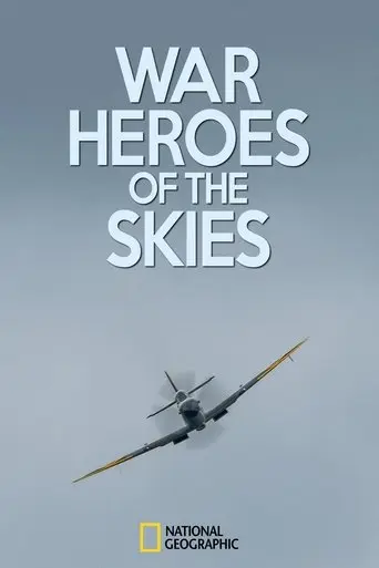 War Heroes of the Skies poster - Find streaming availability