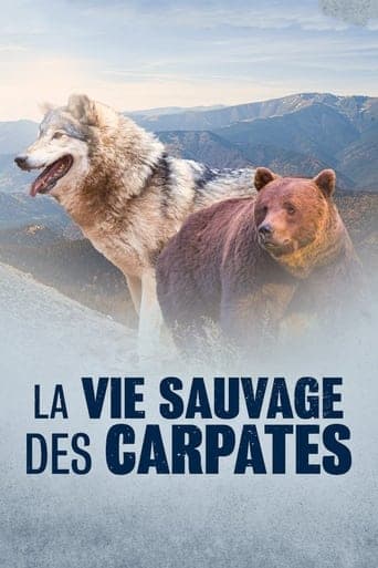 La Vie sauvage des Carpates poster - Find streaming availability