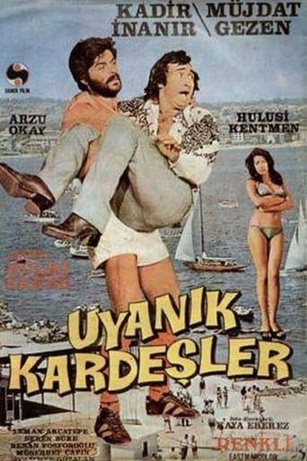 Uyanık Kardeşler poster - Find streaming availability