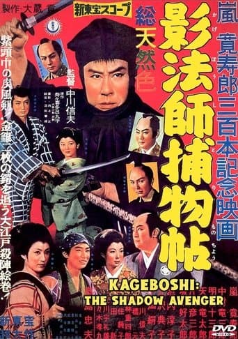 The Shadow Avenger poster - Find streaming availability