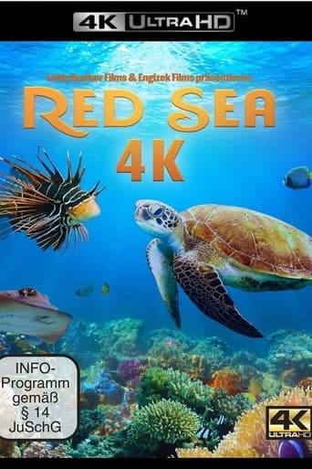 Red Sea poster - Find streaming availability