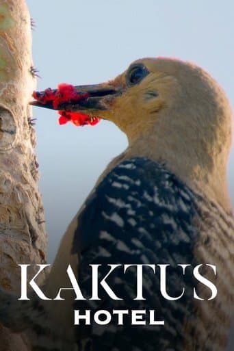 Kaktus Hotel poster - Find streaming availability