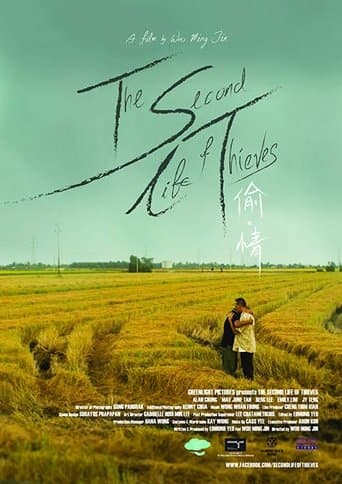 The Second Life of Thieves poster - Find streaming availability