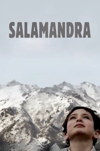 Salamander poster - Find streaming availability