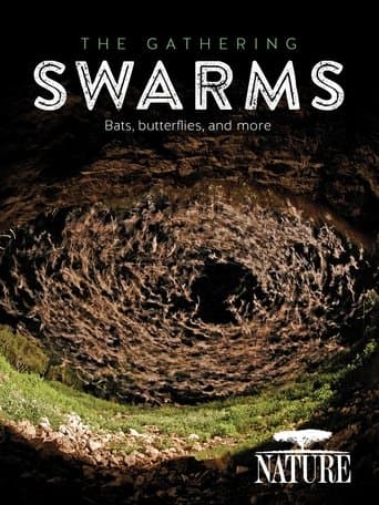 The Gathering Swarms poster - Find streaming availability