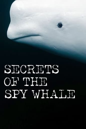 Secrets of the Spy Whale poster - Find streaming availability