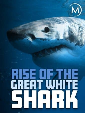 Rise Of The Great White Shark poster - Find streaming availability