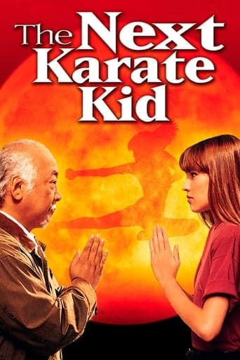 The Next Karate Kid poster - Find streaming availability