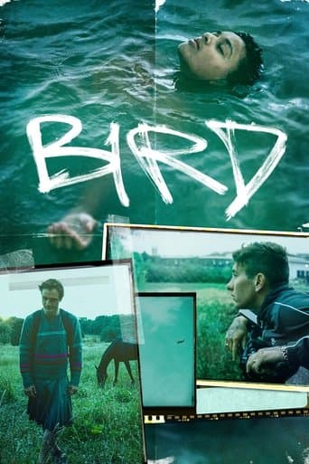 Bird poster - Find streaming availability