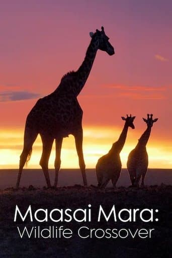 Masai Mara Wildlife Crossover poster - Find streaming availability
