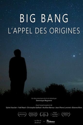 Big bang, l'appel des origines poster - Find streaming availability