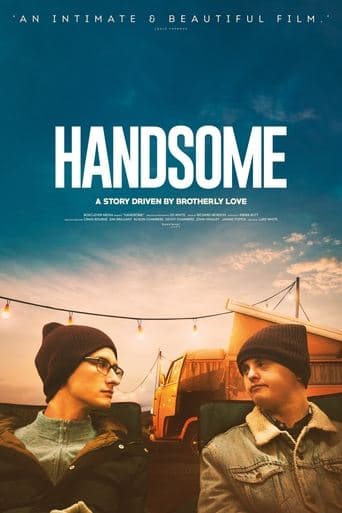 Handsome poster - Find streaming availability