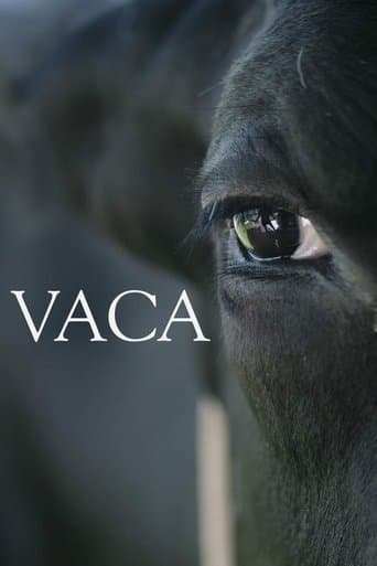 Vaca poster - Find streaming availability