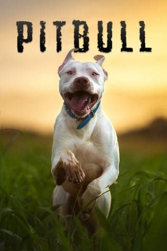 Pitbull poster - Find streaming availability