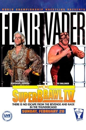 WCW SuperBrawl IV poster - Find streaming availability