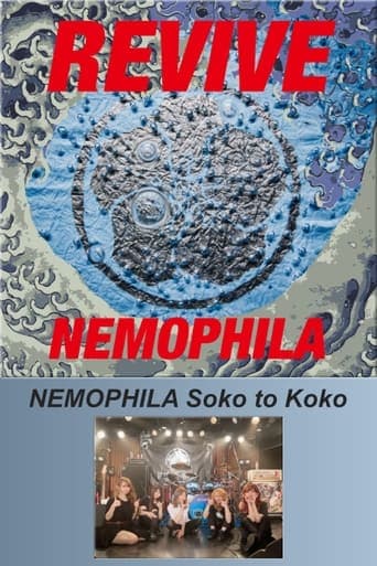 NEMOPHILA Soko to Koko poster - Find streaming availability