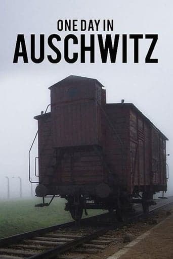 One Day in Auschwitz poster - Find streaming availability