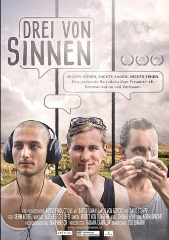 Drei von Sinnen poster - Find streaming availability