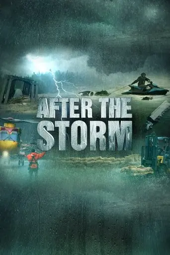 After the Storm poster - Find streaming availability