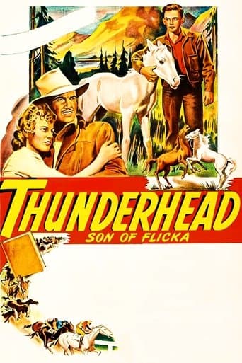 Thunderhead: Son of Flicka poster - Find streaming availability
