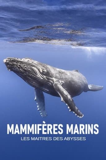 Mammifères marins, les maîtres des abysses poster - Find streaming availability
