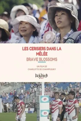 Les Cerisiers dans la Mêlée – Brave Blossoms poster - Find streaming availability
