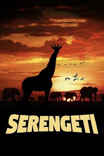 Serengeti poster - Find streaming availability