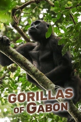Gorillas of Gabon poster - Find streaming availability